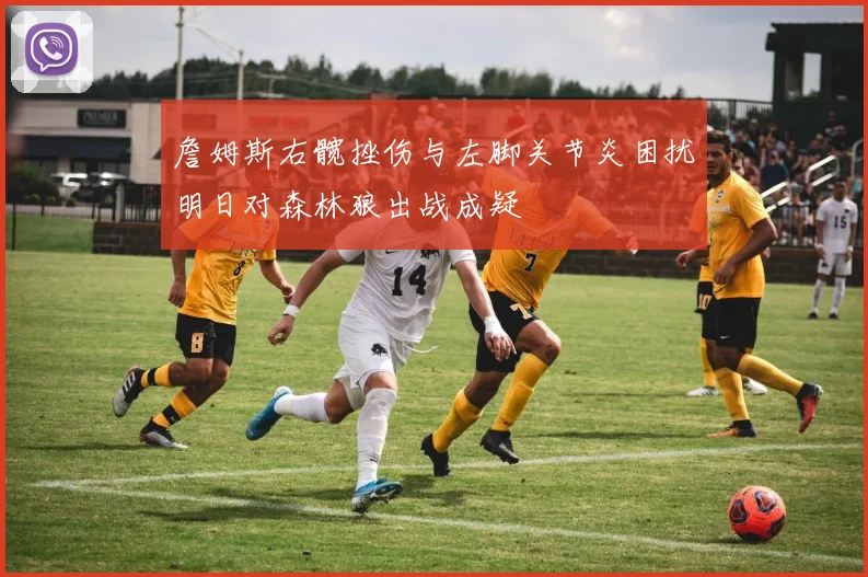 詹姆斯右髋挫伤与左脚关节炎困扰明日对森林狼出战成疑