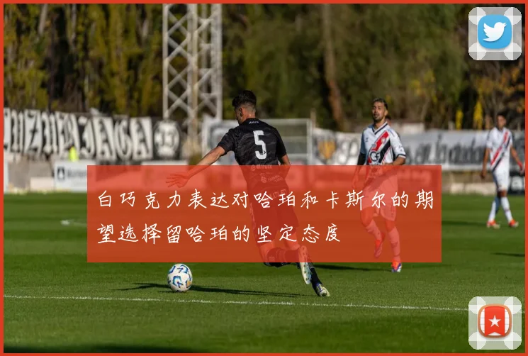 白巧克力表达对哈珀和卡斯尔的期望选择留哈珀的坚定态度